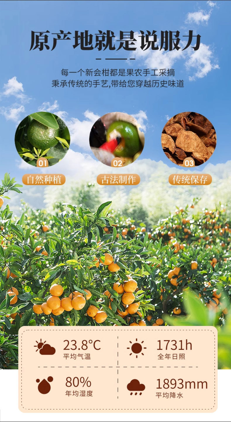 Xinhui Chenpi (Citrus reticulata) — Aged Dried Tangerine Peel for Tea, Seasoning & Soup overview
