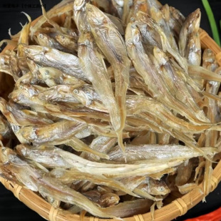 ����΢ɽ���خaë���~ë�~��ë���~ë���~�ɸɰ��~��؛С�~������