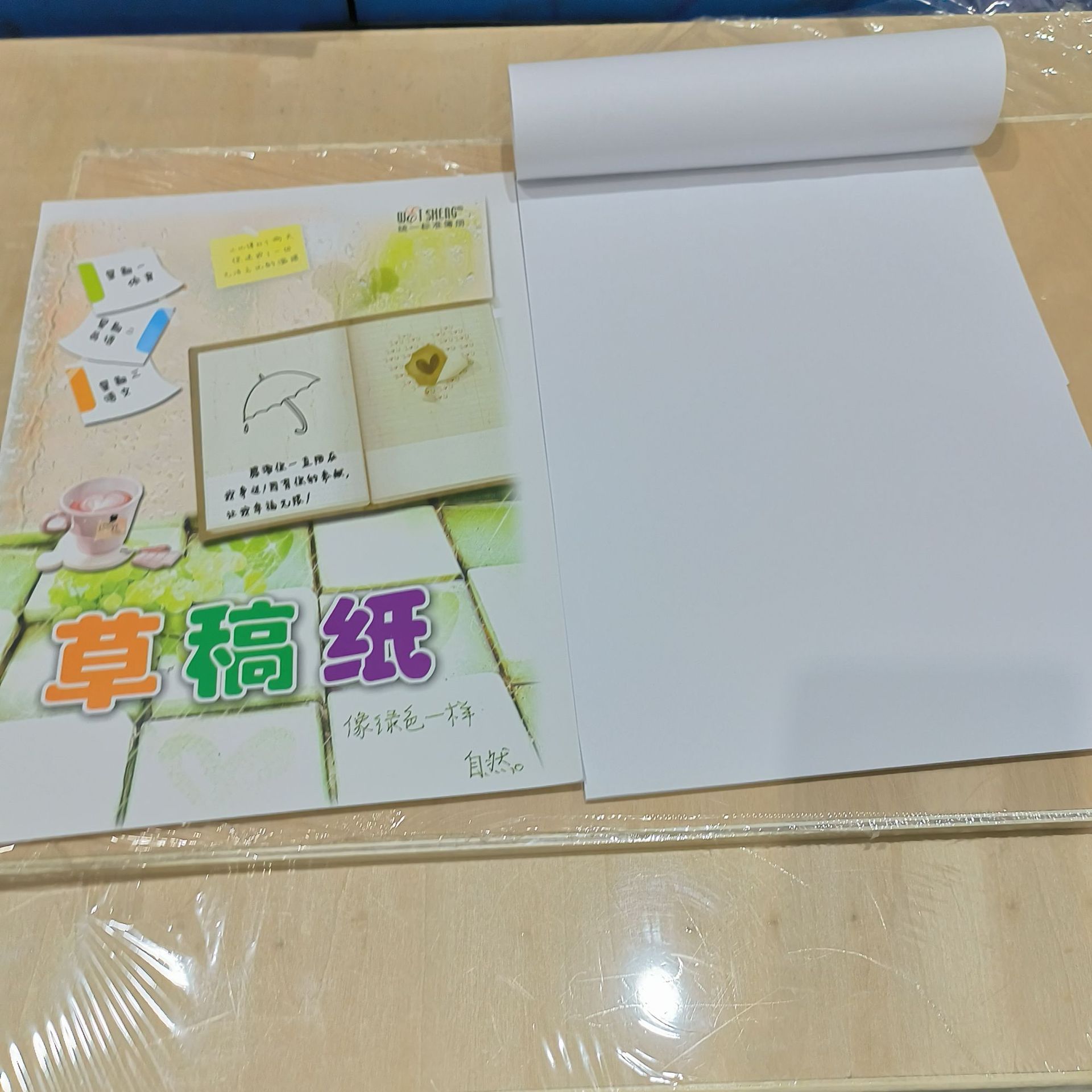 Draft book blank-1 color cover