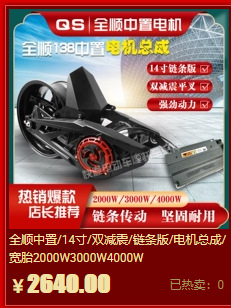 路顺电机4