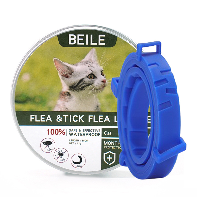 새로운 녹색 상자 고양이 스타일 파란색 칼라