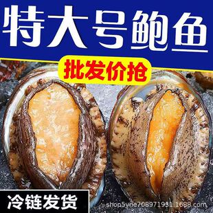 �U�~�r��������r���U���ش��rˮ�a�ӟἴʳС�U�~���ʳ�����l