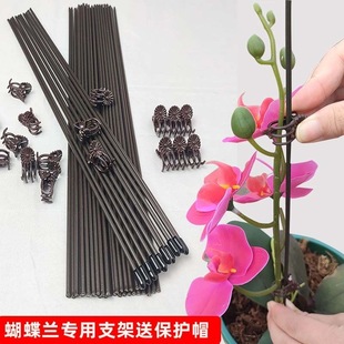 Phalaenopsis Special Bracket Orchid Flower Fixing Clip Protective Cap Plant Fixing Branches Plastic Wrapping Flower Stand Support Rod