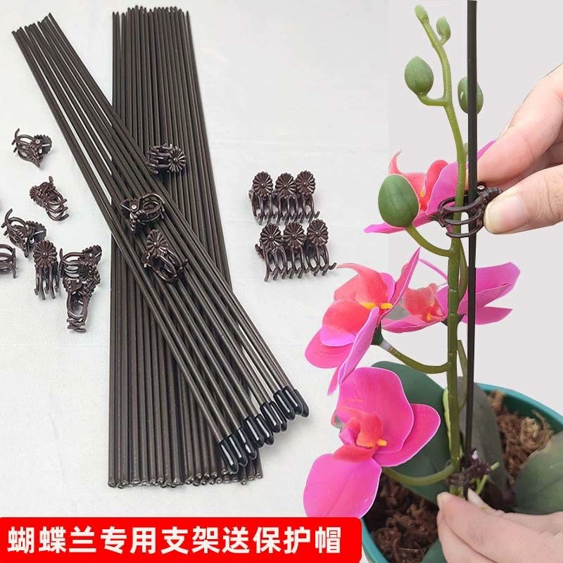 Фоленопсис специальный кронштейн орхидея с цветочным закреплением защитный чехол для растений