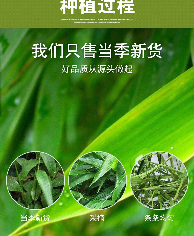 Shandong Dianthus Tea 500g Shi Zhu Cha Dried Herb Loose Leaves Fresh Tender Buds Traditional Herbal Infusion specifications