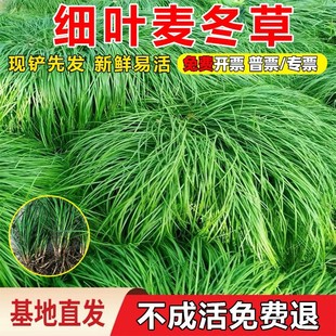 ���~������������ͥԺ�G��ֲ�����~�����������A���ͺ��L�~������