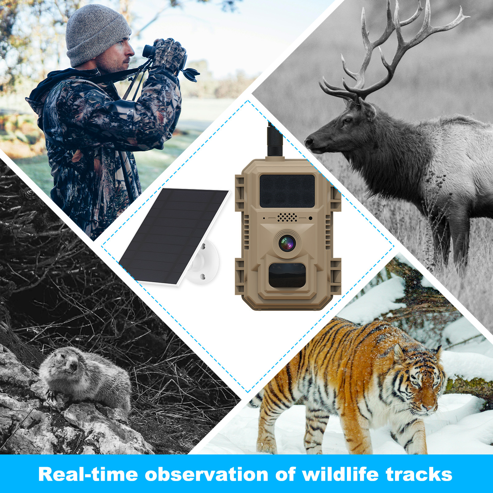 Fuente de la fábrica de campo 4G cámara impermeable transfronteriza explosiva AI reconocimiento de animales cámara de vigilancia solar HD