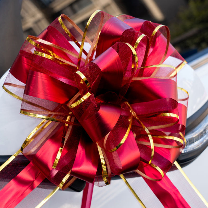 버건디 프놈펜 눈 원사 (10 꽃/가방)