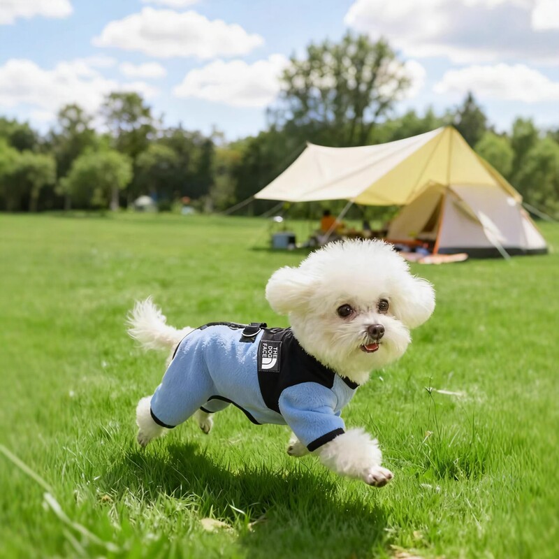 Lamb Wool Color-Blocked Four-Legged Clothing Pet Leash Dog Autumn and Winter Warm Clothing for Bichon Teddy Small Dogs