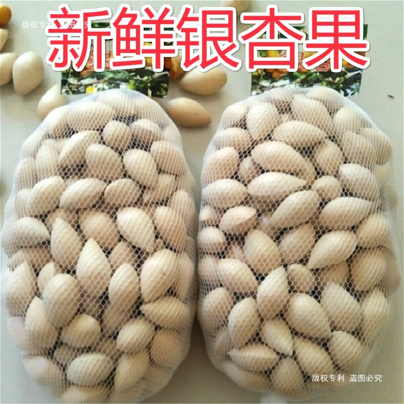 新鲜生白果银杏果2斤包邮（保质保量）鲜白果仁银杏带壳无漂白