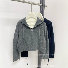 顶版南油D家高定25早秋新款条纹连帽拉链针织开衫慵懒风软糯长袖