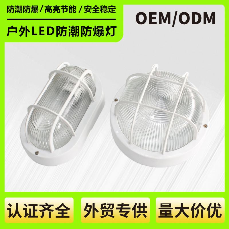Cross-Border Outdoor Waterproof Led Lampshade with Mesh Cover Moisture-Proof Glass Lampshade Balcony Courtyard Corridor Exterior Wall Lamp Wholesale