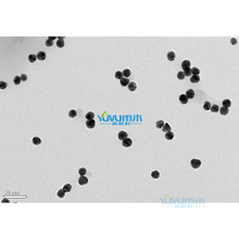 �ƌW����� �{�������~