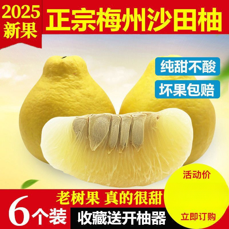 梅州沙田柚新鲜当季水果梅县金柚子白心肉小容县哇噢尖货