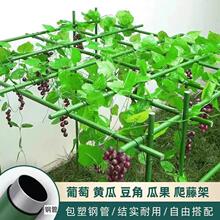 户外庭院爬藤架葡萄架百香果牵引架猕猴桃葫芦架瓜架立柱式园艺架
