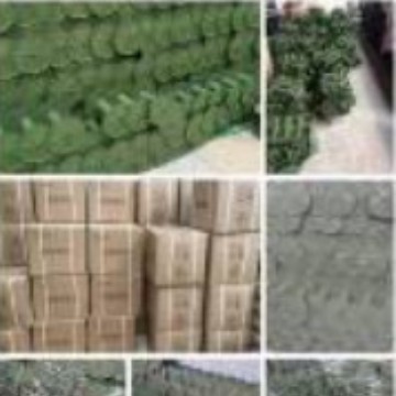 2025-10-28 17:00:45.jpg