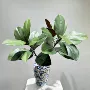 跨境植物仿真插花花瓶