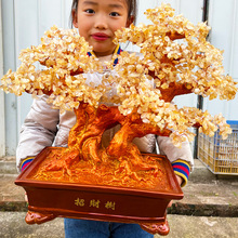 黄水晶摇钱树摆件大招财宝树树家居创意酒柜家装饰品客厅电视柜
