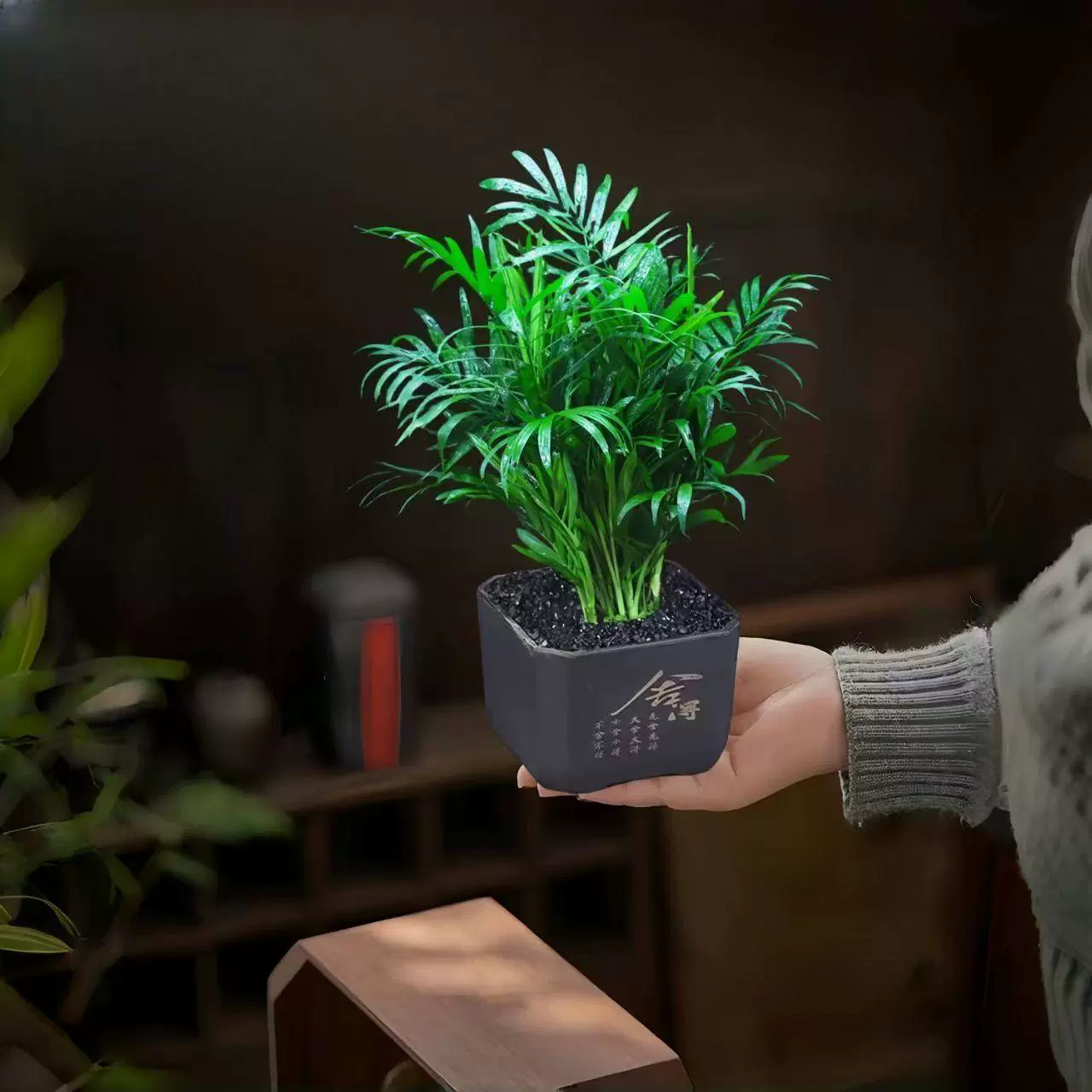 Кашпо с богатыми листьями, кокосовым горшком, подсолнечником, фениксом, бамбуком, зелеными растениями и цветами для дома, гостиной и интерьера.