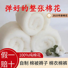 �½��޻��L�q��ɢ�b�ޱ���о��̥�����ֹ����������
