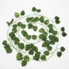 81 pieces of watermelon leaves [single price] please order in multiples of 12 pieces