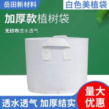 ��ɫ�o�������l�Nֲ���Ӻ�ֲ�������o����ֲ��������