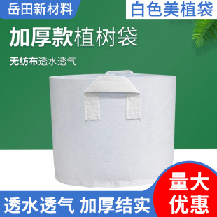 ��ɫ�o�������l�Nֲ���Ӻ�ֲ�������o����ֲ��������