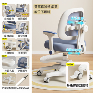 Children's Learning Chair for Primary and Secondary School Students to Correct Sitting Posture and Backrest, Adjustable Lifting Writing Homework Chair, Multi-Functional Seat