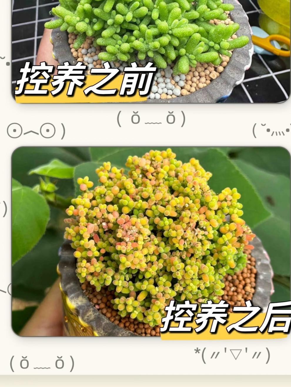 5599e8fe-3799-4ff4-ba4b-31c7662502f4.jpe