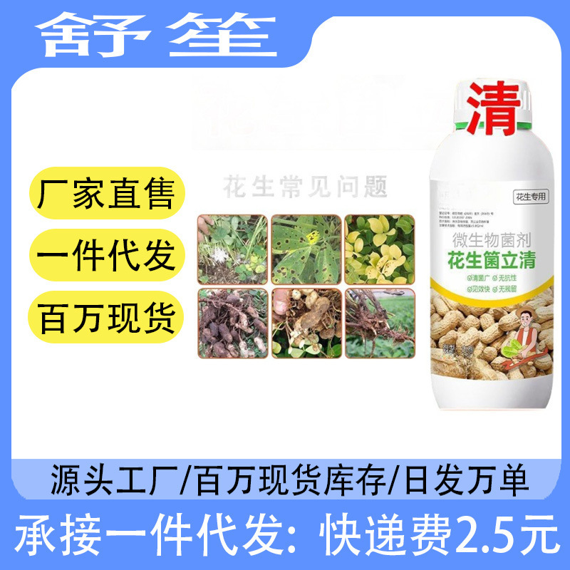 Peanut Plant Growth Promoter Microbial Agent for Root Growth and Seedling Strengthening, Preventing Root Rot, Leaf Spot, and Leaf Scorch Peanut Plant Growth Promoter Microbial Agent for Root Growth and Seedling Strengthening, Preventing Root Rot, Leaf Spot, and Leaf Scorch