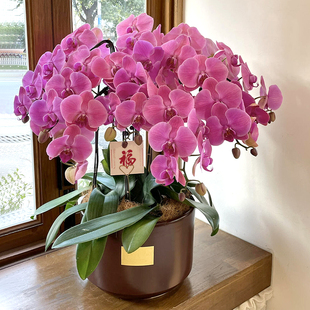 �����m���Ԏ�����ȫ��ͬ�����ͻ�ޥ�m���w�_�I�r�����f������