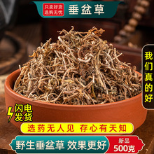 ���ڸ�؛250����ݿ�10����Ұ��500�����0g����ݴ������ș��