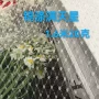网孔网布网纱满天星女装