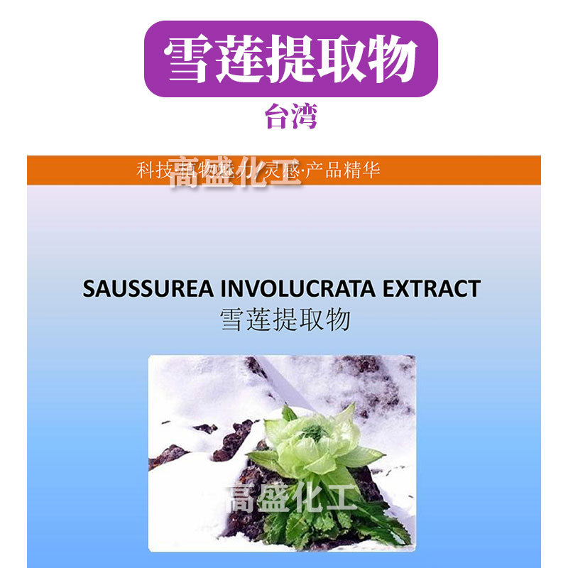 台湾 雪莲提取物 雪莲花提取物 化妆品原料 1kg