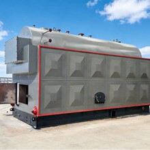 DZH�����|����偠t2.5����ʽȫ�Ԅ��֟���ȼ�Ϲ��I����偠t