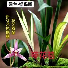 ���㎧�������m �G�B�� ��ˇ�]�m���t���҃ȾGֲ���ɻ����ֺ��B