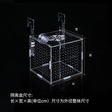 鱼缸隔离盒透明亚克力孵化孔雀鱼繁殖迷你鹦鹉小鱼苗箱子