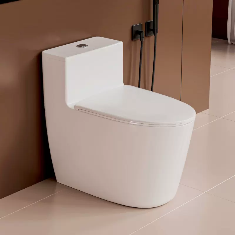 家用新款防冻裂抽水马桶连体式虹吸式大口径大冲力S弯防臭坐便器