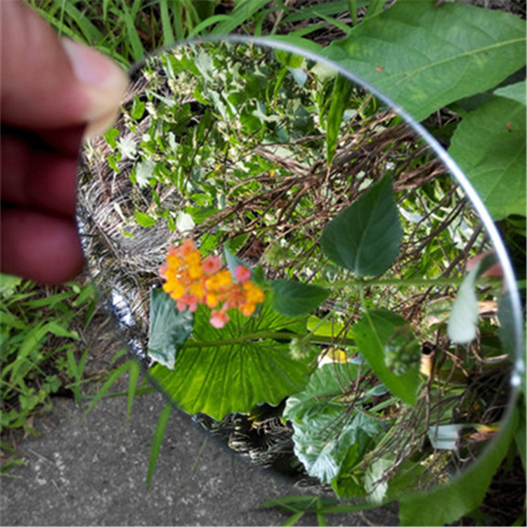 拍照用的镜子 拍摄倒影镜子道具可按尺寸圆形/方形有机玻璃镜PMMA