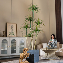 高端仿真植物龙血树千年木仿生绿植落地盆栽轻奢室内橱窗装饰假树