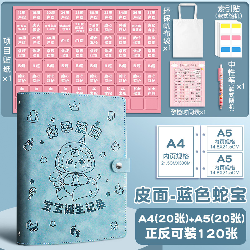 Formulario de informe del libro de aceptación del examen de embarazo