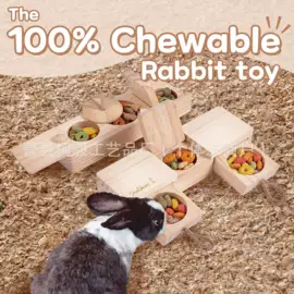 木质工艺品;收纳架;其他小宠用品