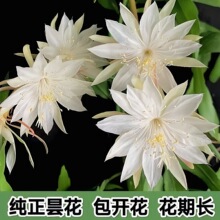 �һ������ԾGֲ�������˕һ�һ�F�҃����С�~�һ���ʳ�ú��B�׻�