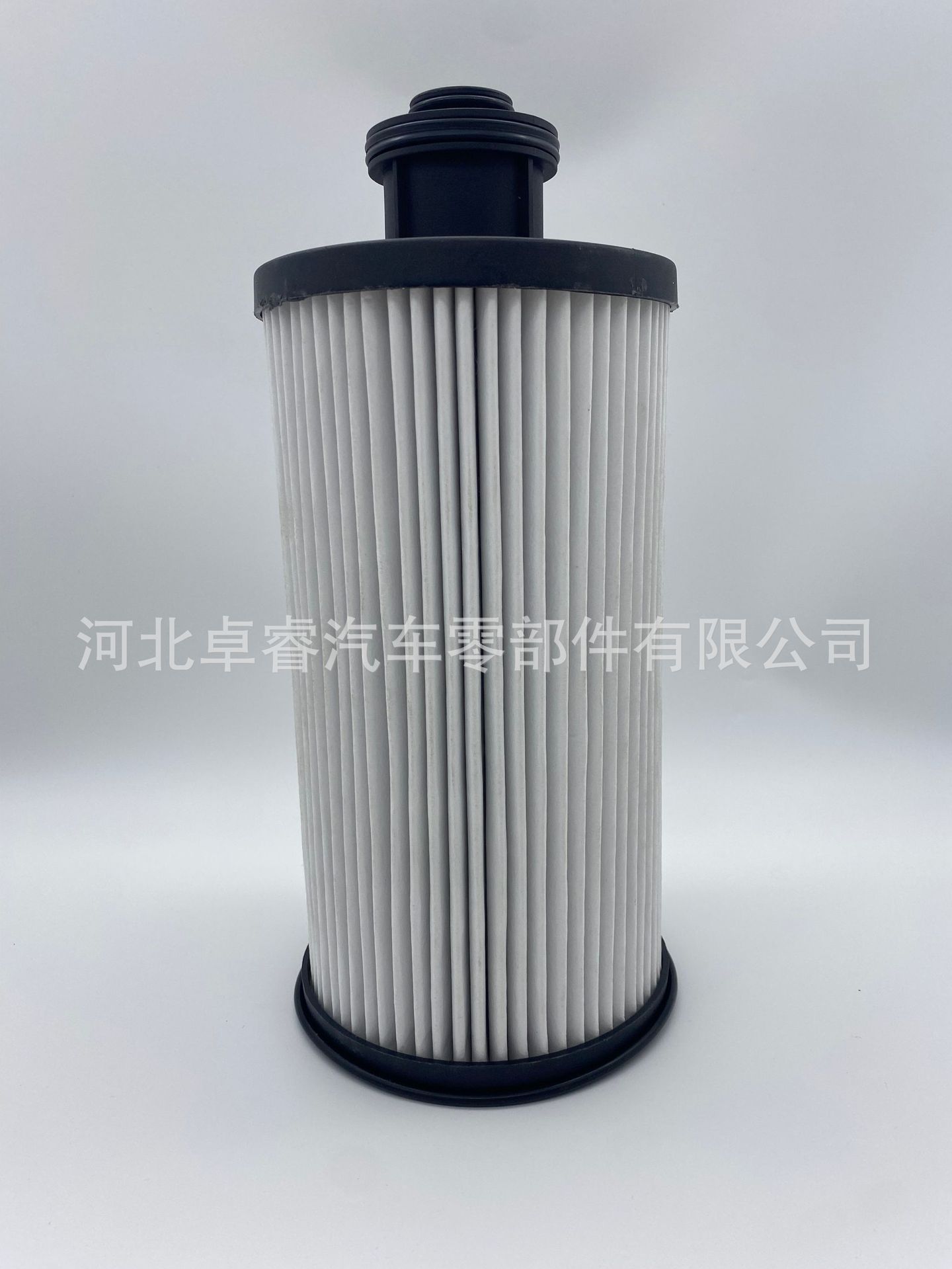 Source Manufacturer Spot Supply Car Filter 1125030-Ho2B0-Sfg Tianlong Flagship Cannon Filter Element