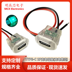 TYPE-C母座2pバックル注入USB C母頭typec溶接線防水透明ランプ付き電気スタンド充電口