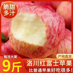 ��������崨�����ļt��ʿ�O�����rˮ�������֭��Ş��a��ֱ�l