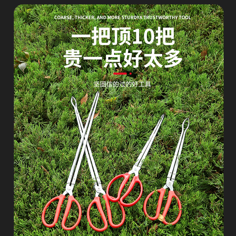 Fabricante de alicates de Anguila de acero inoxidable en stock clip de Anguila alargada clip de cangrejo de Loach multiusos Herramienta de conducción de mar artefacto