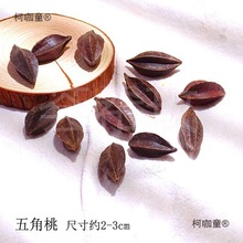 Ȼɹǧy׃@ֹbɻ}Q̫