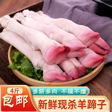 ���r������������ȬF���������_��ɽ�򎧽����㎧Ƥ�������_4��