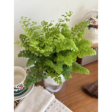 ��Ʒ�F��ާ�����҃�����F�z���k�����̨���G�^�~�Gֲ�׻�